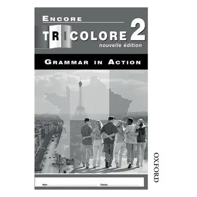 Encore Tricolore Nouvelle 2 Grammar in Action Pack (x8) - Honnor, S a Mascie-Taylor, H