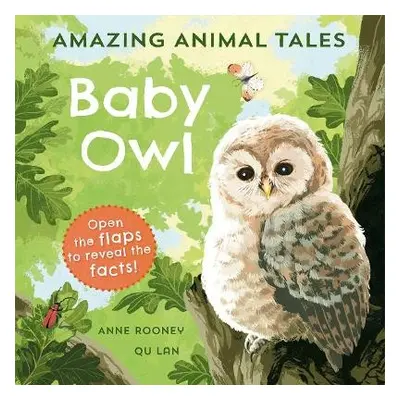 Amazing Animal Tales: Baby Owl - Rooney, Anne