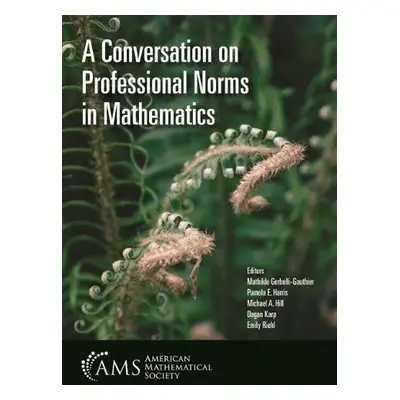 Conversation on Professional Norms in Mathematics