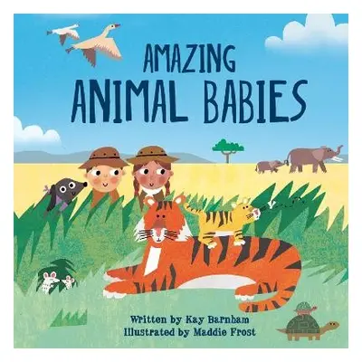 Look and Wonder: Amazing Animal Babies - Barnham, Kay