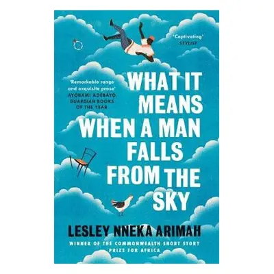 What It Means When A Man Falls From The Sky - Arimah, Lesley Nneka