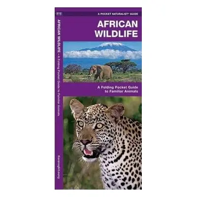 African Wildlife - Kavanagh, James a Press, Waterford