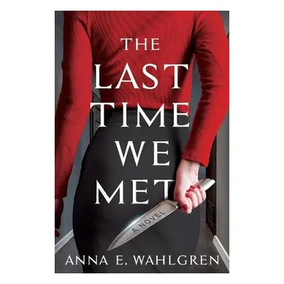 Last Time We Met - Wahlgren, Anna E.