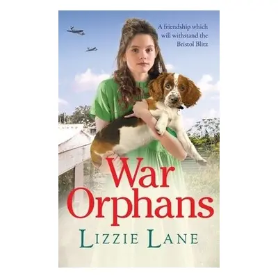 War Orphans - Lizzie Lane