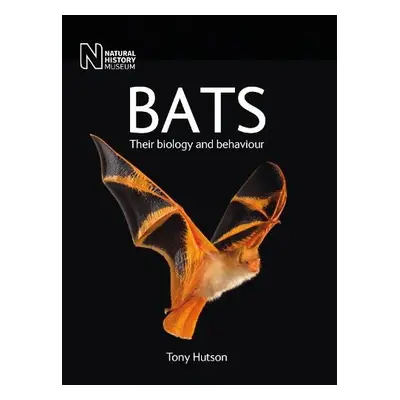 Bats - Hutson, Tony