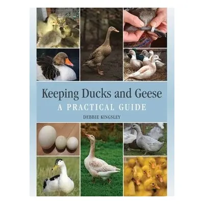 Keeping Ducks and Geese - Kingsley, Debbie