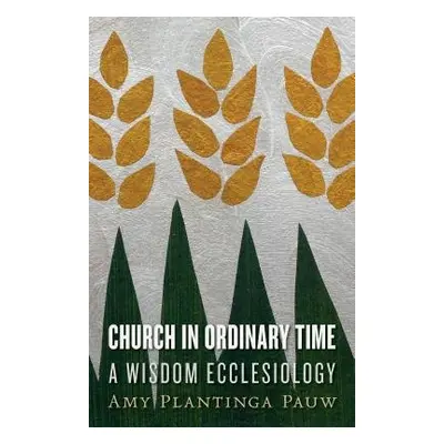 Church in Ordinary Time - Pauw, Amy Plantinga