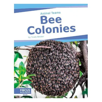 Bee Colonies - Becker, Trudy