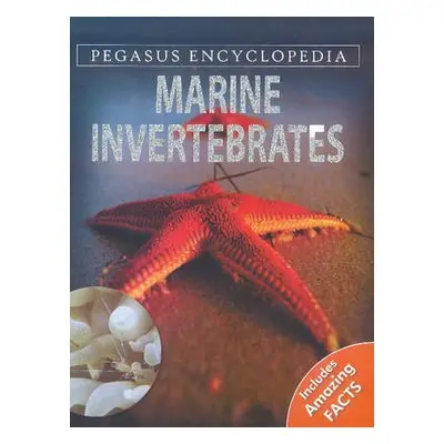 Marine Invertebrates