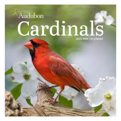 Audubon Cardinals Mini Wall Calendar 2025 - Society, National Audubon a Calendars, Workman