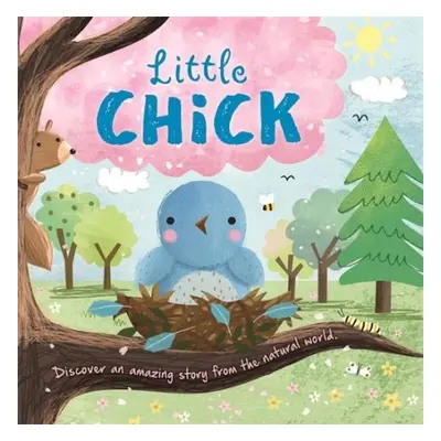 Little Chick - Igloo Books