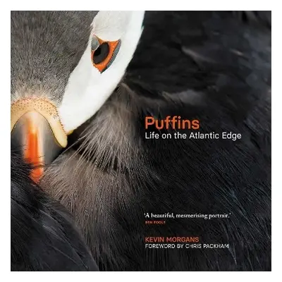 Puffins - Morgans, Kevin