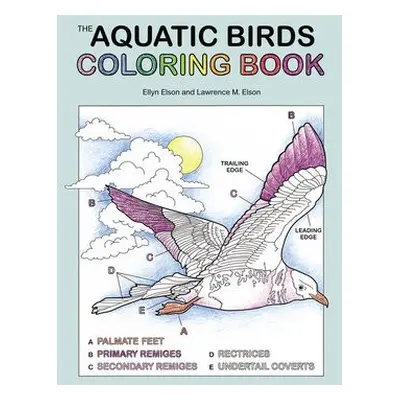 Aquatic Birds Coloring Book - Coloring Concepts Inc.