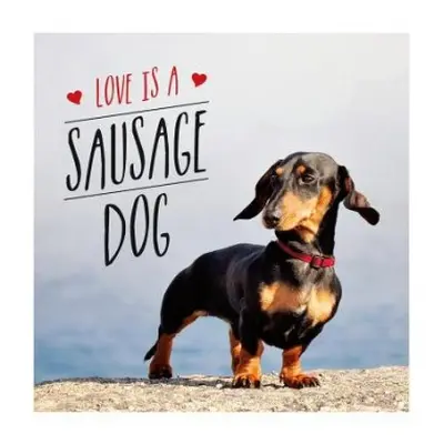 Love is a Sausage Dog - Ellis, Charlie