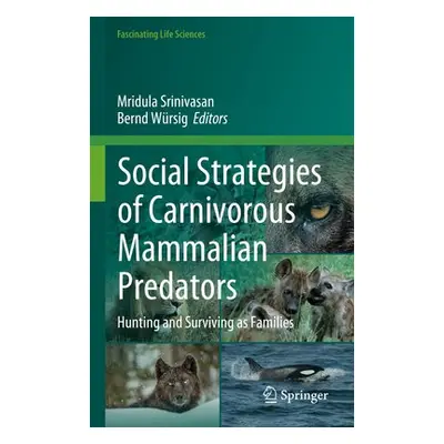 Social Strategies of Carnivorous Mammalian Predators