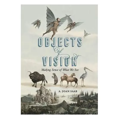 Objects of Vision - Saab, A. Joan (Susan B. Anthony Professor, University of Rochester)