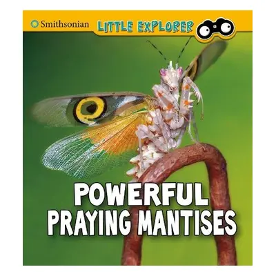 Powerful Praying Mantises - Higgins, Melissa