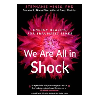 We are All in Shock - Mines, Stephanie (Stephanie Mines)