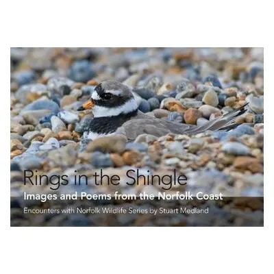 Rings in the Shingle