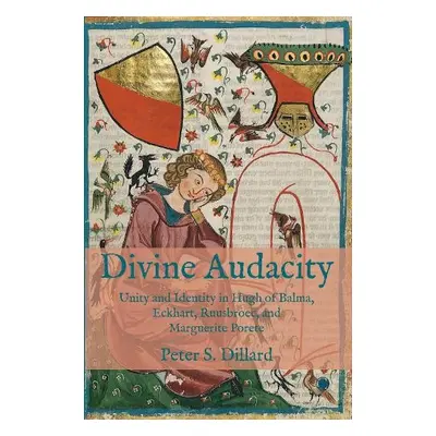 Divine Audacity - Dillard, Peter S.