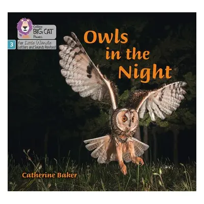 Owls in the Night - Baker, Catherine