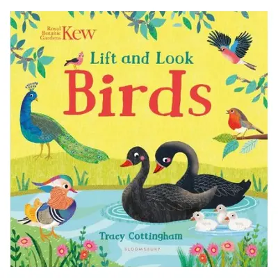 Kew: Lift and Look Birds