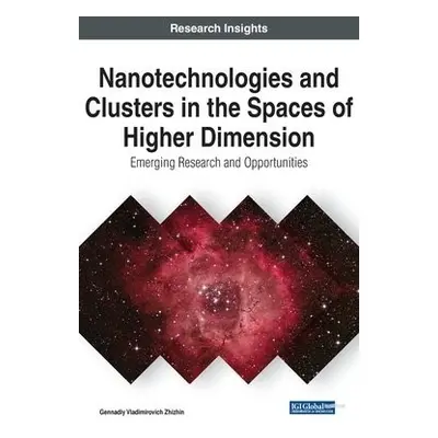 Nanotechnologies and Clusters in the Spaces of Higher Dimension - Zhizhin, Gennadiy Vladimirovic