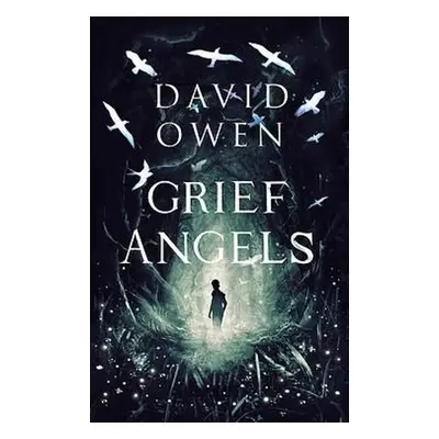 Grief Angels - Owen, David