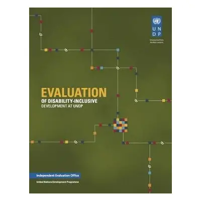 Evaluation of disability inclusive development at UNDP - United Nations Development Programme