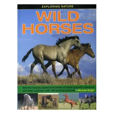 Exploring Nature: Wild Horses - Bright Michael