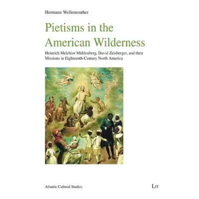 Pietisms in the American Wilderness - Wellenreuther, Hermann