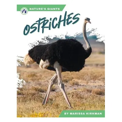 Ostriches - Kirkman, Marissa