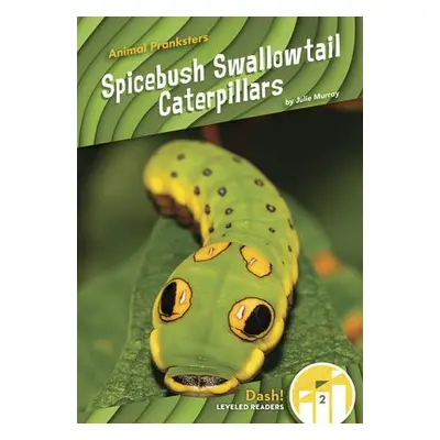 Animal Pranksters: Spicebush Swallowtail Caterpillars - Murray, Julie