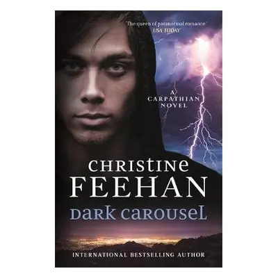 Dark Carousel - Feehan, Christine