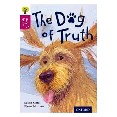 Oxford Reading Tree Story Sparks: Oxford Level 10: The Dog of Truth - Gates, Susan