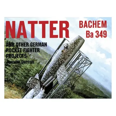 Natter a Other German Rocket Jet Projects - Dressel, Joaquim