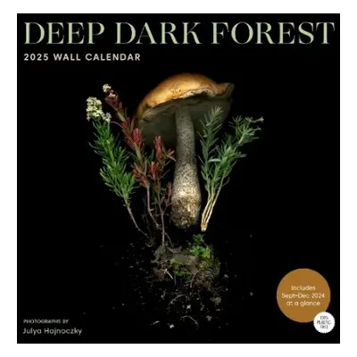 Deep Dark Forest 2025 Wall Calendar - Hajnoczky, Julya