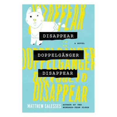 Disappear Doppelganger Disappear - Salesses, Matthew