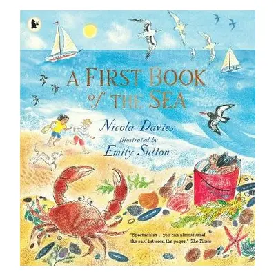 First Book of the Sea - Davies, Nicola