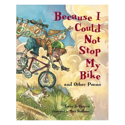 Because I Could Not Stop My Bike - Shapiro, Karen Jo