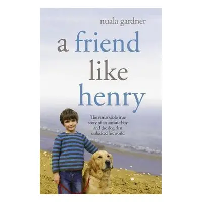 Friend Like Henry - Gardner, Nuala