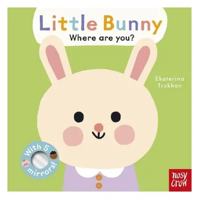 Baby Faces: Little Bunny, Where Are You?