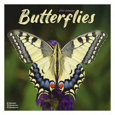 Butterflies Calendar 2025 Square Butterfly Wall Calendar - 16 Month