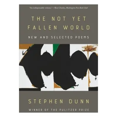 Not Yet Fallen World - Dunn, Stephen