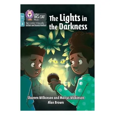 Lights in the Darkness - Wilkinson, Shareen a Wilkinson, Marcus