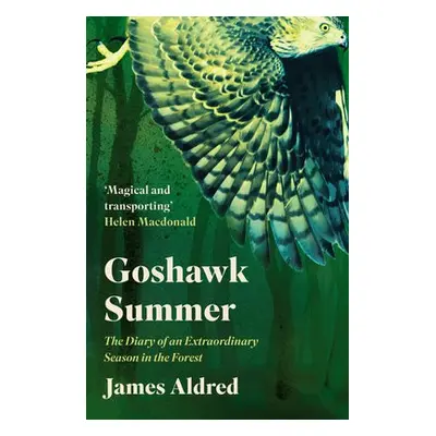 Goshawk Summer - Aldred, James