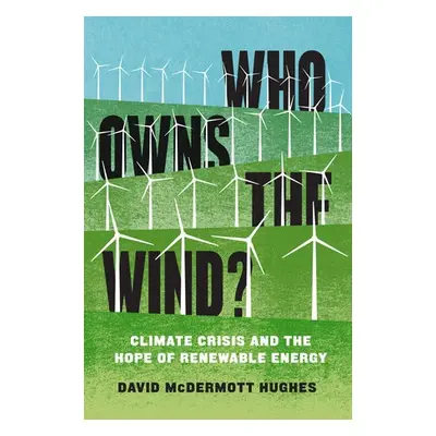 Who Owns the Wind? - Hughes, David McDermott