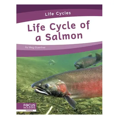 Life Cycles: Life Cycle of a Salmon - Gaertner, Meg