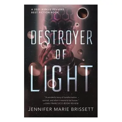 Destroyer of Light - Brissett, Jennifer Marie