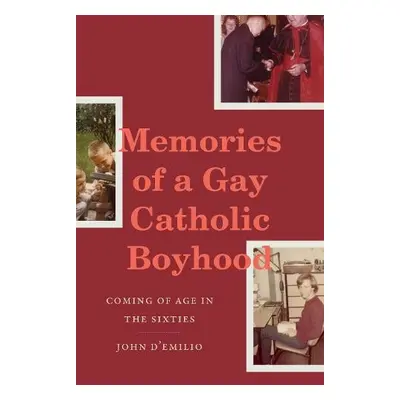 Memories of a Gay Catholic Boyhood - D'Emilio, John